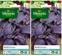 Vilmorin 5873046 Pack de Graines Basilic Pourpre (Lot de 2)