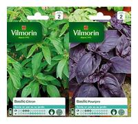Vilmorin 5873342 Pack de Graines Basilic Citron + Vilmorin 5873046 Pack de Graines Basilic Pourpre