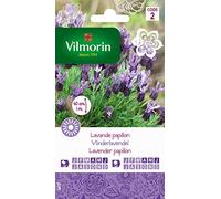 Vilmorin 5876342 Lavande Papillon, Violet, 90 x 2 x 160 cm