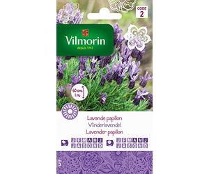 Vilmorin 5876342 Lavande Papillon, Violet, 90 x 2 x 160 cm