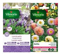 Vilmorin 5876342 Lavande Papillon, Violet, 90 x 2 x 160 cm & 5258442 Dahlia Multicolore