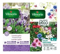 Vilmorin 5876342 Lavande Papillon, Violet, 90 x 2 x 160 cm & 5862942 Fleur parfumée, Multicolore, 90 x 2 x 160 cm