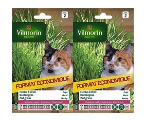 Vilmorin 5876839 Herbe à Chat orge, Vert, 11 x 1.5 x 19 cm (Lot de 2)