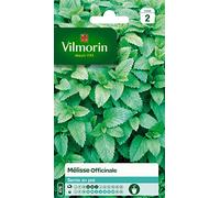 Vilmorin 5877046 Mélisse officinale Vert 9 x 0,5 x 16 cm