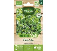 Graine - Vilmorin - Menthe Poivrée - BIO