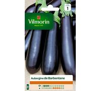 Graines - Vilmorin - Aubergine de Barbentane