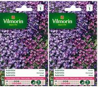 Vilmorin- Aubriéta en mélange - semences pour plantations - Fleurs Basses 15 cm vivaces - fleurit Chaque année - Floraison précoce, Bleu (Lot de 2)