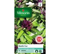 Vilmorin Basilic Thaï