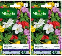 VILMORIN Belle de Nuit semence Florale, Multicolor, 70cm hauteur de la plante