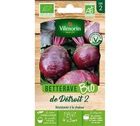 Vilmorin - Betterave Bio détroit 2