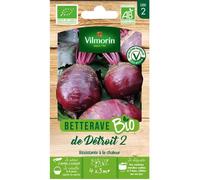 Vilmorin - Betterave Bio détroit 2
