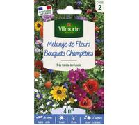 Vilmorin Pack de graines de fleurs pour bouquets champêtres Mélange de couleurs Fleurit longtemps