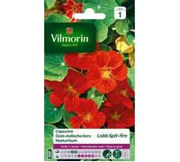 Vilmorin - Sachet graines Capucine Lobb Spitfire