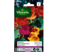 VILMORIN Capucine de lobb variée