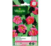 Vilmorin 5187542 Capucine naine Rose 9 x 0,5 x 16 cm