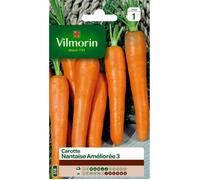 Vilmorin - Carotte Nantaise améliorée 3