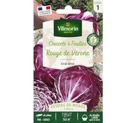 Graines - Vilmorin - Chicorée à Feuilles Rouge de Vérone