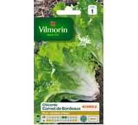 VILMORIN Chicorée scarole cornet de Bordeaux