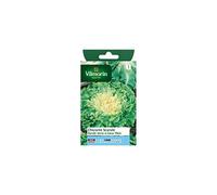 Vilmorin Sachet graines Chicorée Scarole Ronde Verte à Coeur Plein