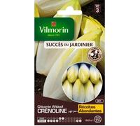 VILMORIN Chicorée Witloof Endive Crenoline HF1 création Vilmorin