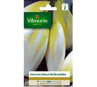 VILMORIN-Graines de chicorée de Bruxelles Vilmorin - graines à semer