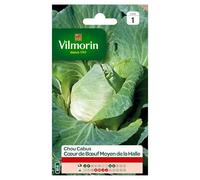 Vilmorin Chou Cabus Coeur de Boeuf Moyen de la Halle | Chou, Graine, Semence, Jardin, Légume, Potager, Cabus, Facile à réussir, Rustique