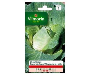 Vilmorin Chou Cabus Coeur de Boeuf Moyen de la Halle | Chou, Graine, Semence, Jardin, Légume, Potager, Cabus, Facile à réussir, Rustique
