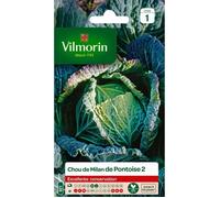 VILMORIN Chou de Milan de Pontoise