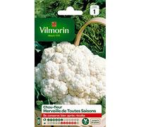 Vilmorin – Graines de chou-fleur Merveille des 4 Saisons – Blanc – Sachet