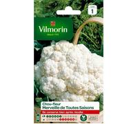 VILMORIN Chou-fleur Merveille de toutes saisons