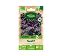 Vilmorin - Chou Frisé - Kale Bio Scarlet