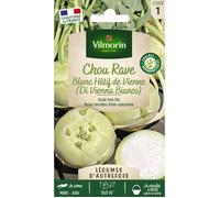 VILMORIN Chou rave blanc hâtif de Vienne