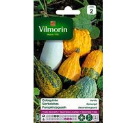 Vilmorin Coloquinte, Multicolore | Fruits décoratifs,non-comestible, utilisation treilles, pergolas, clôtures