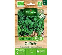 Vilmorin – Semences de coriandre cultivée Bio – Plante aromatique annuelle, saveur citronnée