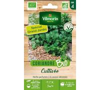 Vilmorin Coriandre Cultivée Bio Grand Modèle