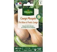 Vilmorin Courge Musquée de Nice à Fruits Longs