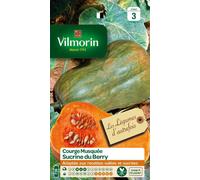 VILMORIN-Courge Musquée Sucrine du Berry Vilmorin - graines à semer