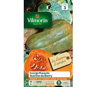 Vilmorin Courge Sucrine du Berry