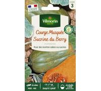 Vilmorin Courge Sucrine du Berry | Variété coureuse, chair tendre, sucrée et parfumée