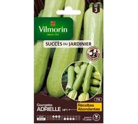 VILMORIN Courgette Adrielle HF1 Création Vilmorin