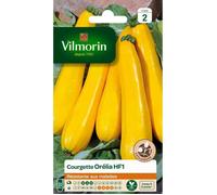 VILMORIN Courgette Orelia HF1 peau jaune