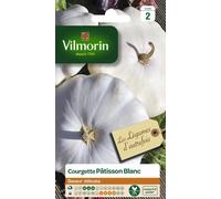VILMORIN-Courgette Pâtisson Blanc Vilmorin - graines à semer