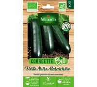 Vilmorin – Sachet graines Courgette Verte Noire Maraîchère BIO précoce (Cucurbita pepo)