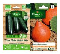Vilmorin - Courgette Verte Noire maraîchère Bio + Vilmorin 3486845 Pack de Graines Potiron Potimarron