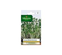 Vilmorin - Cresson Alenois Commun