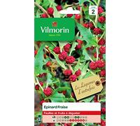 Vilmorin Epinard Fraise
