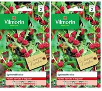 Vilmorin - Epinard Fraise - légume d'autrefois - Feuilles et Fruits à déguster - Ses Feuilles au goût de Noisette et Ses Fruits au goût de Betterave - Culture en Pot - Hauteur de la Plante 1m