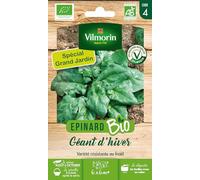 Vilmorin Epinard Géant d'Hiver Bio Grand Modèle
