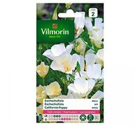 Vilmorin - Eschscholtzia Blanc