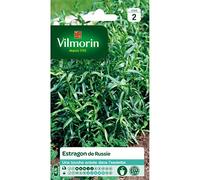 Vilmorin - Estragon De Russie Vl 2